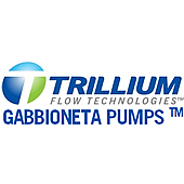 Gabbioneta Pumps