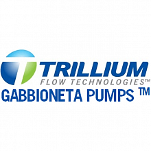 Gabbioneta Pumps