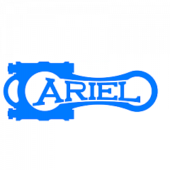 Ariel